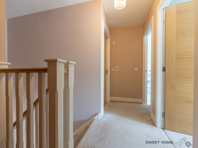 Picture 27